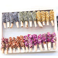 Palo Santo Peru Floral Chakra Natural Botanic Sustainably Sourced Palo Santo wood Sensmar